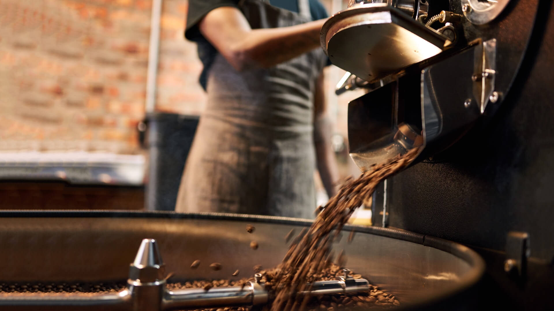 Freshly roasted coffee beans and Cofffe machines in Perth
